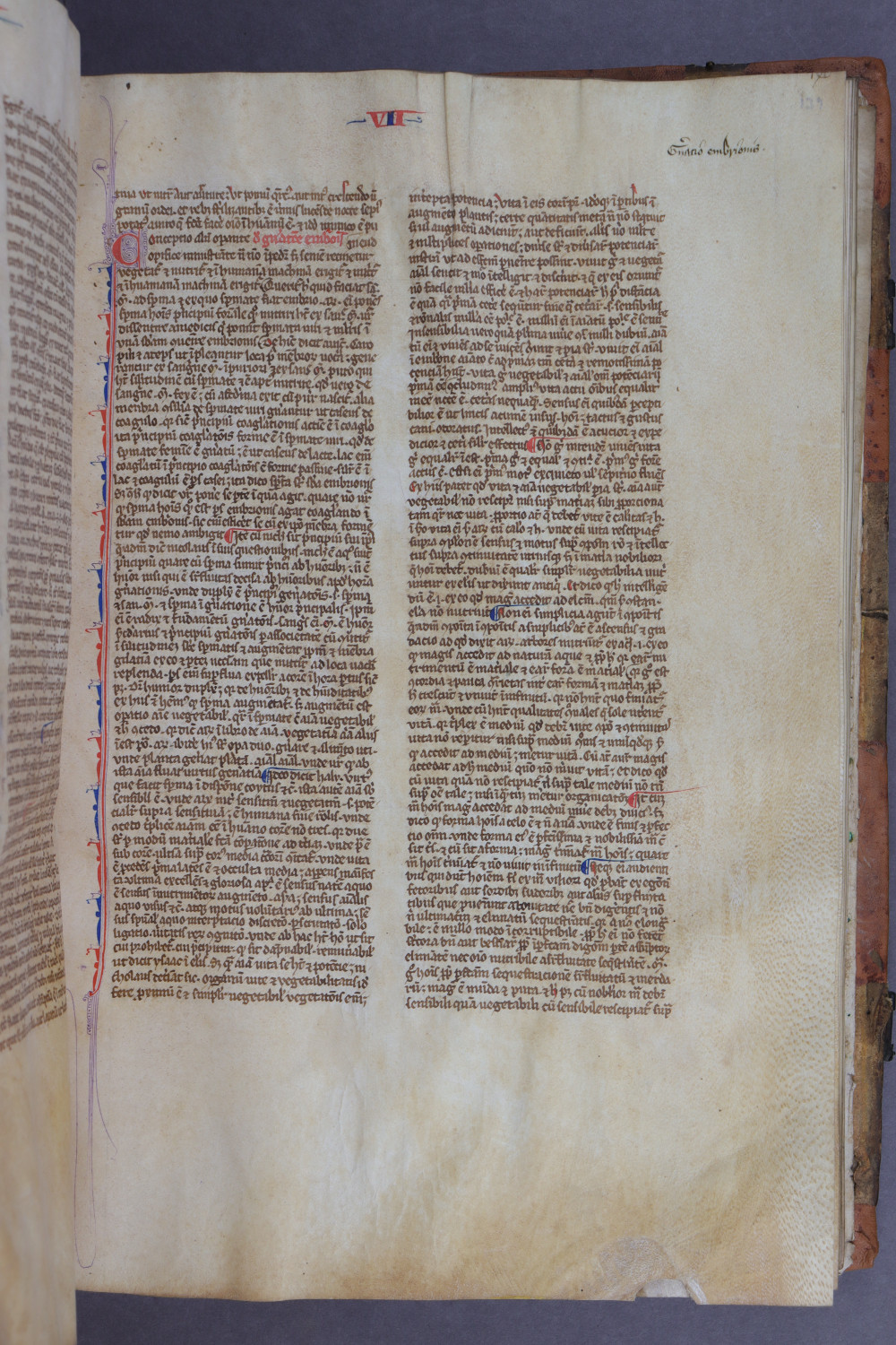 Folio 139 recto